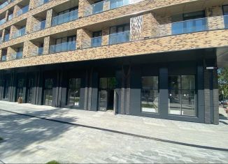 Продается помещение свободного назначения, 96.18 м2, Воронеж, улица Революции 1905 года, 34