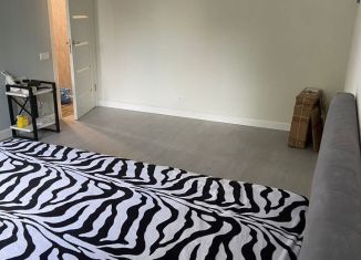 Сдаю однокомнатную квартиру, 31 м2, Санкт-Петербург, Бестужевская улица, 20к2