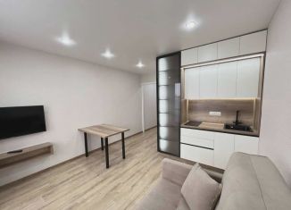 Продается квартира студия, 28.6 м2, Тюмень, ЖК Пятый квартал, улица Монтажников, 42