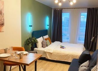 Продаю квартиру студию, 26.5 м2, Санкт-Петербург, метро Елизаровская, Варфоломеевская улица, 6