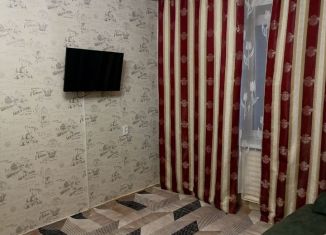 Аренда 1-ком. квартиры, 22 м2, Республика Башкортостан, улица Николая Дмитриева, 9