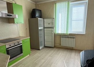 Продаю однокомнатную квартиру, 45 м2, Ростов-на-Дону, Извилистая улица