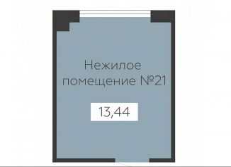 Помещение свободного назначения на продажу, 13.44 м2, Воронеж, Новосибирская улица, 13Б, Левобережный район