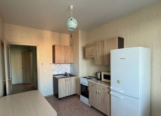 Сдается 1-комнатная квартира, 39 м2, Воронеж, жилой массив Олимпийский, 13