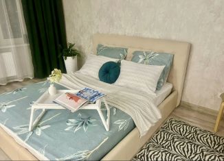 Сдается 1-комнатная квартира, 38 м2, Республика Башкортостан, улица Минигали Губайдуллина, 10/1