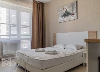 Квартира на продажу студия, 27.3 м2, Санкт-Петербург, Пулковское шоссе, 14с6, муниципальный округ Звёздное