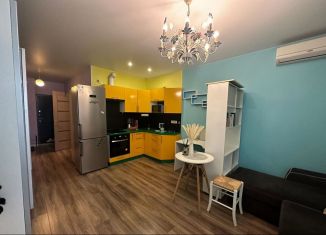 Сдается квартира студия, 28.9 м2, Реутов, Носовихинское шоссе, 27, ЖК Новокосино