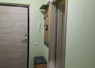 Сдается в аренду однокомнатная квартира, 36.5 м2, Орёл, Черепичная улица, 22к1, Заводской район