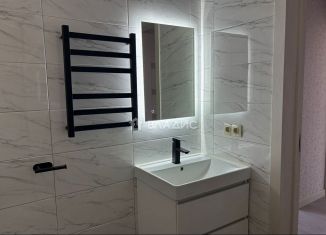 Аренда 1-комнатной квартиры, 42 м2, Владимирская область, улица Благополучия, 1к1