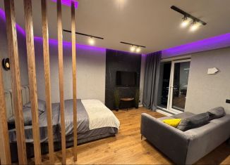 Сдаю в аренду квартиру студию, 35 м2, Удмуртия, Пушкинская улица, 265