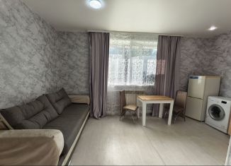 Продаю квартиру студию, 19.3 м2, Благовещенск, Амурская улица, 351