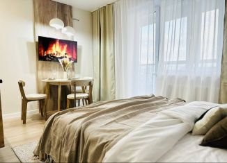 Квартира на продажу студия, 23.2 м2, Челябинск, Калининский район, улица 250-летия Челябинска