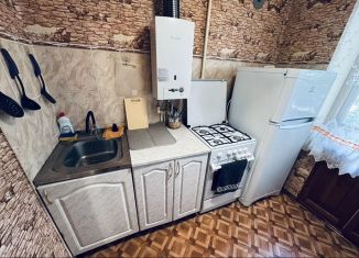 2-ком. квартира в аренду, 45 м2, Новомосковск, улица Мира, 14