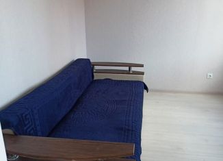 Сдам в аренду квартиру студию, 26 м2, Ростов-на-Дону, улица Теряева, 8, ЖК Платовский