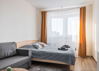 Сдаю 1-ком. квартиру, 50 м2, посёлок Парголово, Заречная улица, 36