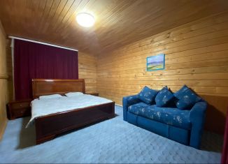 Сдается в аренду дом, 110 м2, деревня Якты-Куль, Центральная улица, 44/1