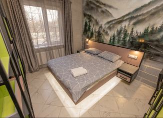 Сдаю в аренду 1-ком. квартиру, 20 м2, Тверь, улица Благоева, 65