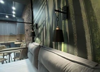 Сдача в аренду квартиры студии, 59.8 м2, Сочи, Виноградная улица, 22/1, микрорайон Новый Сочи