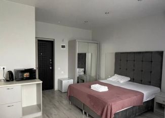 Сдача в аренду квартиры студии, 25 м2, Сириус, Таврическая улица, 1/1Б