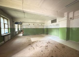 Сдам склад, 200 м2, Пенза, улица Аустрина, 63