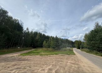 Продам участок, 25 сот., деревня Заборное, Центральная улица