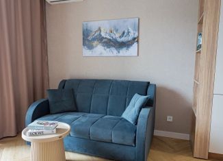 Сдаю в аренду квартиру студию, 28 м2, Сочи, улица Искры, микрорайон Кудепста