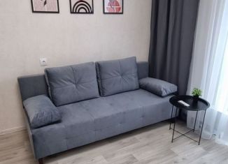 Сдам квартиру студию, 20 м2, Нижний Новгород, улица Бориса Видяева, 29