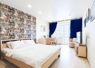 Сдается 1-ком. квартира, 45 м2, Томская область, Большая Подгорная улица, 70