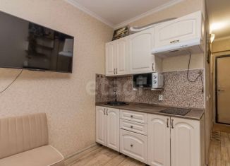 Продажа квартиры студии, 15.9 м2, Тюмень, улица Новосёлов, 117