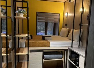 Сдам квартиру студию, 12 м2, Санкт-Петербург, Английский проспект, 24