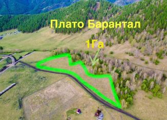 Продажа участка, 98.5 сот., Республика Алтай