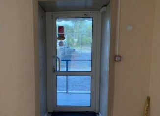 Продажа помещения свободного назначения, 100 м2, Хабаровский край, улица Геологов, 6