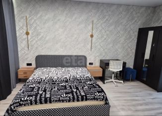 Сдается квартира студия, 25 м2, Тула, Калужское шоссе, 20к3, Привокзальный территориальный округ