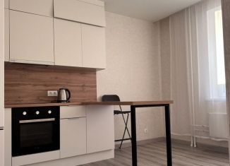 Продаю 1-ком. квартиру, 43.3 м2, Тюмень, Велижанская улица, 70к1, ЖК Заречный