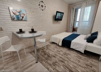 Аренда квартиры студии, 20 м2, Республика Башкортостан, Коммунистическая улица, 98/1