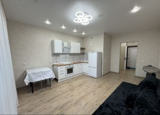 Сдача в аренду квартиры студии, 32.4 м2, Республика Башкортостан, Природная улица, 28/1