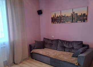 Сдача в аренду однокомнатной квартиры, 41 м2, Воронеж, улица 20-летия Октября