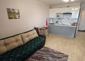 Продам квартиру студию, 27.7 м2, деревня Новое Девяткино, ЖК Заречный Парк, Главная улица, 12