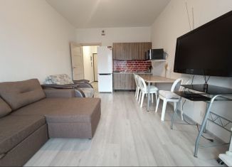 Продам квартиру студию, 26.2 м2, Санкт-Петербург, метро Звёздная, улица Струве, 4