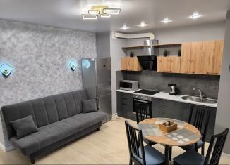 Сдается 2-комнатная квартира, 55 м2, Пермь, улица Чернышевского, 15В, ЖК Альпийская Горка