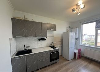 Сдача в аренду 1-комнатной квартиры, 48 м2, деревня Куюки, 3-й квартал, 14