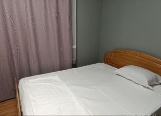 Двухкомнатная квартира в аренду, 40 м2, Ставрополь, переулок Крупской, 29, микрорайон № 9