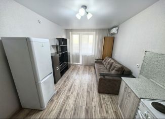 Сдам в аренду квартиру студию, 30 м2, Ростов-на-Дону, Художественная улица, 22/17, ЖК Платовский