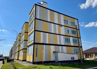 Продается 1-ком. квартира, 44.9 м2, Бузулук, Николаевская улица, 19