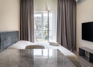 Сдается квартира студия, 28 м2, Сочи, улица Искры, 88к3