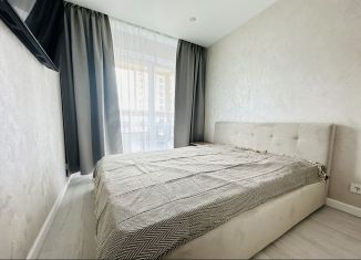 Сдам в аренду 1-комнатную квартиру, 34 м2, Казань, улица Анаса Тазетдинова, 7к3