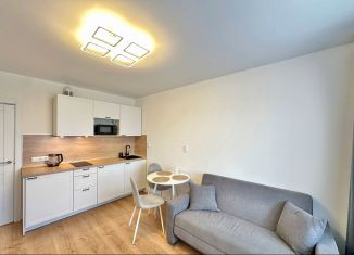 Сдаю в аренду квартиру студию, 20 м2, Мурино, проспект Авиаторов Балтики, 25, ЖК Авиатор