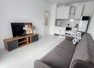 Сдаю однокомнатную квартиру, 34 м2, Санкт-Петербург, проспект Ветеранов, 214, Красносельский район