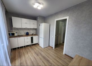 Сдаю однокомнатную квартиру, 39.2 м2, Псков, Прибрежный проезд, 2