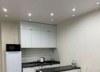 Сдаю квартиру студию, 25 м2, Новосибирск, Танковая улица, 32, ЖК Астра